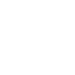 Icono Silla de ruedas
